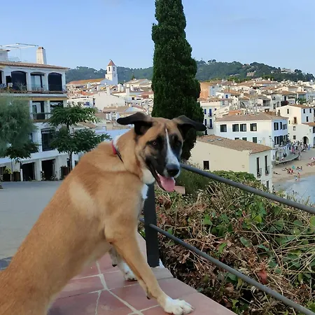 Duplex Mar&pol Gran Terraza Apartamento Palafrugell